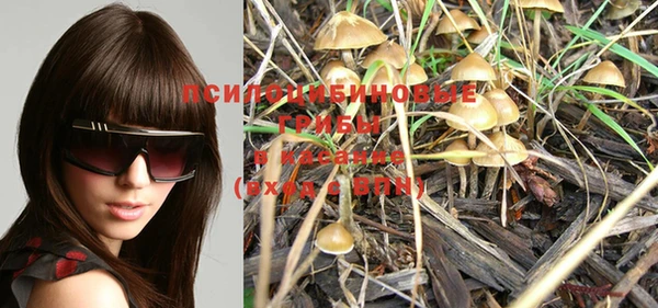 PSILOCYBIN Верхний Тагил