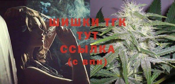 PSILOCYBIN Верхний Тагил