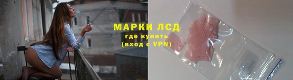 PSILOCYBIN Верхний Тагил