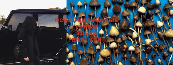 PSILOCYBIN Верхний Тагил