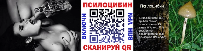 Псилоцибиновые грибы GOLDEN TEACHER  Пересвет 